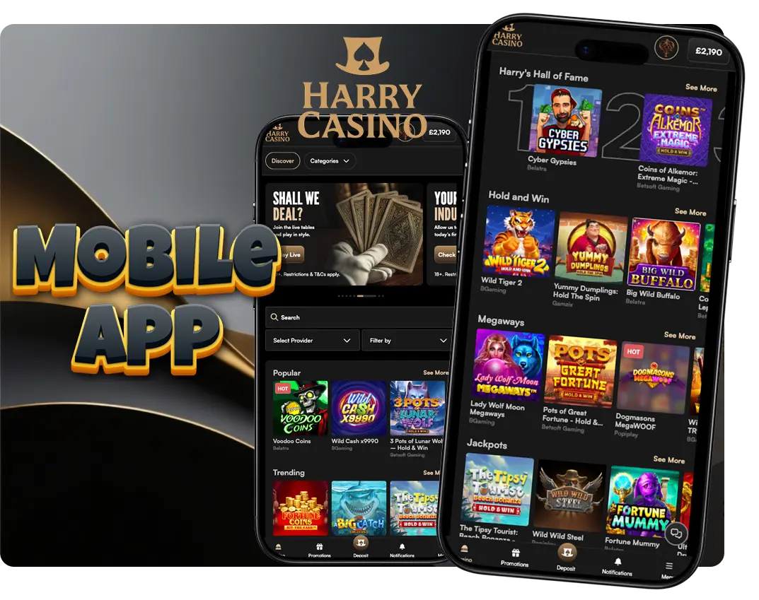 Harry Casino app